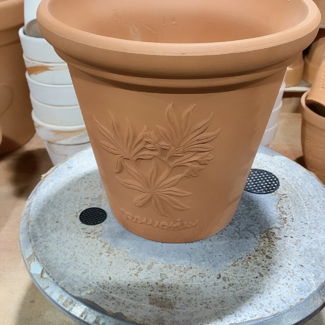 香草20×19-1