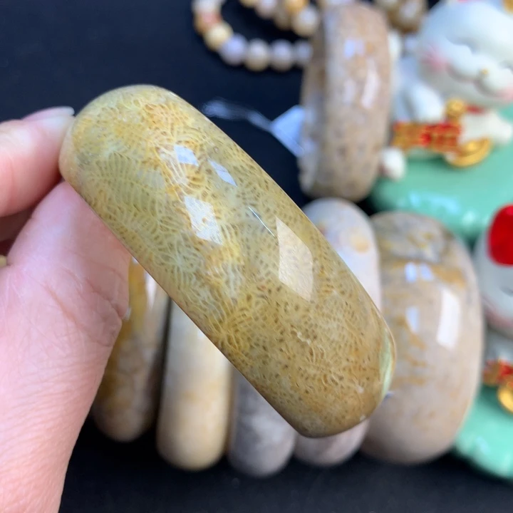【闪购商品】硅化珊瑚（珊瑚玉）颈饰未镶嵌56