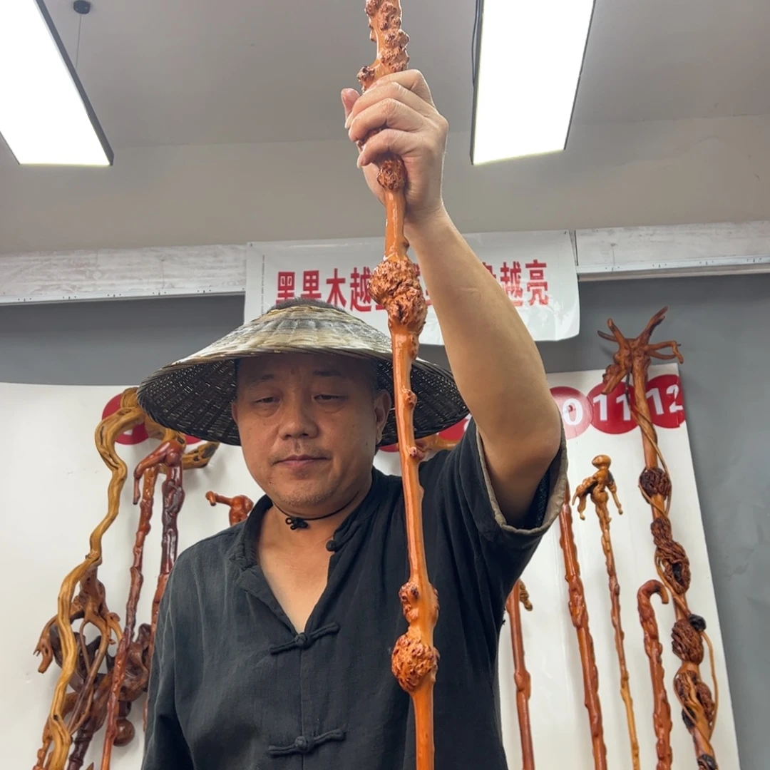 沉***人黑果木其他黑果木967