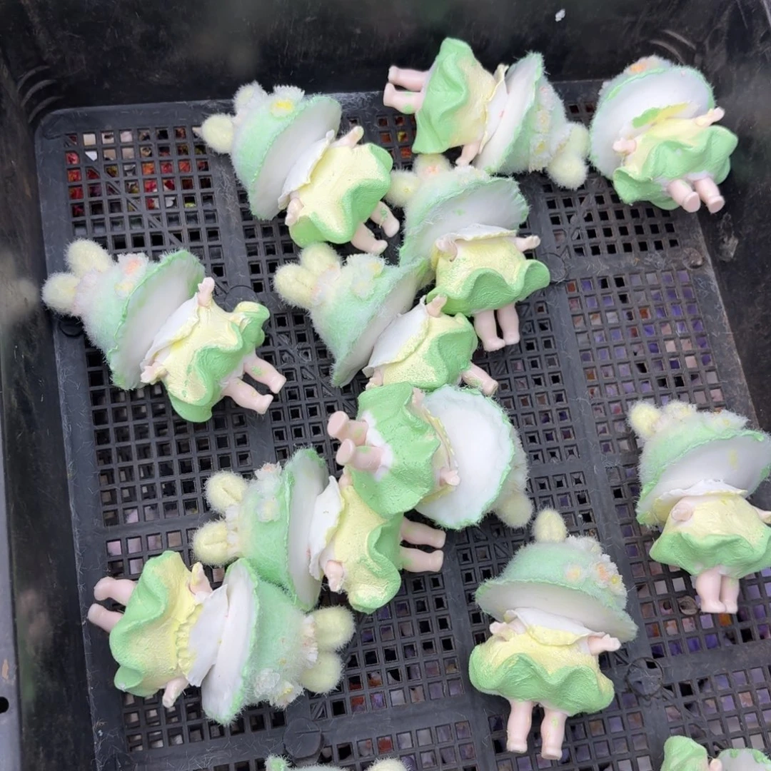 树脂制品24哦哦哦哦哦哦