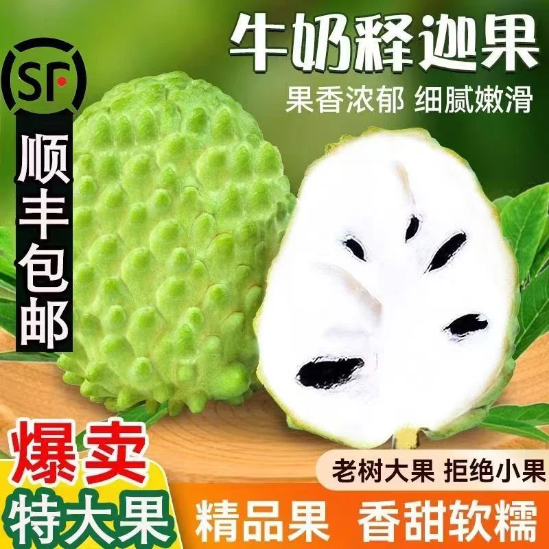 【包邮+顺丰】潮汕新鲜当季大果释迦果牛奶凤梨释迦果番荔枝佛头果