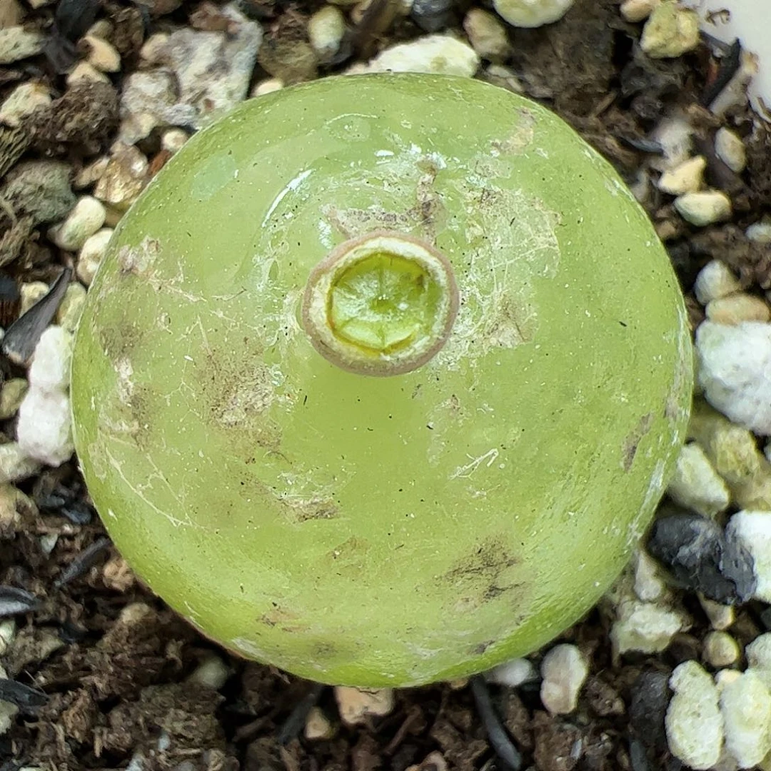 【闪购商品】 32 双11返场