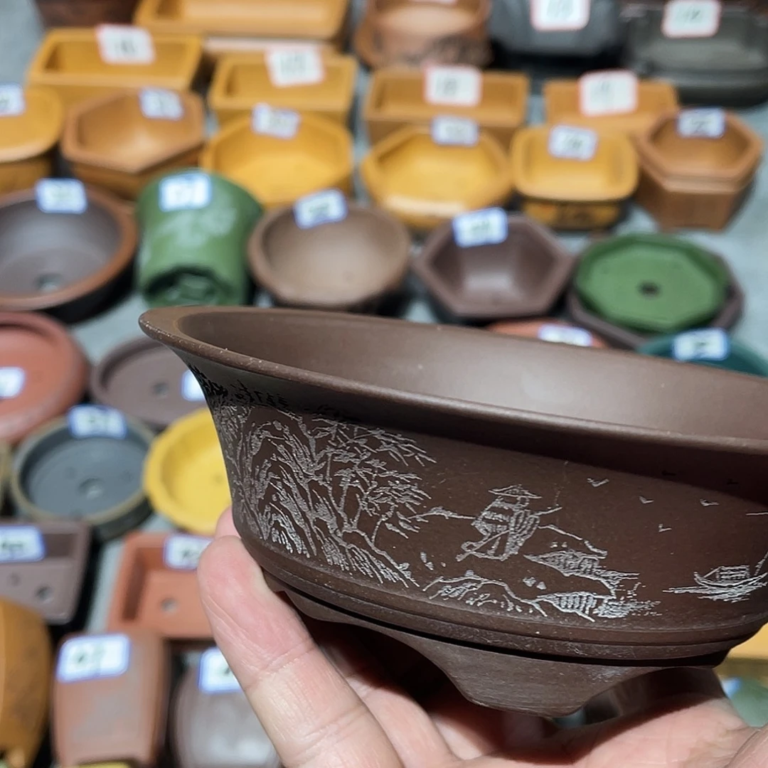 今***室紫砂小盆12*4cmmmmm