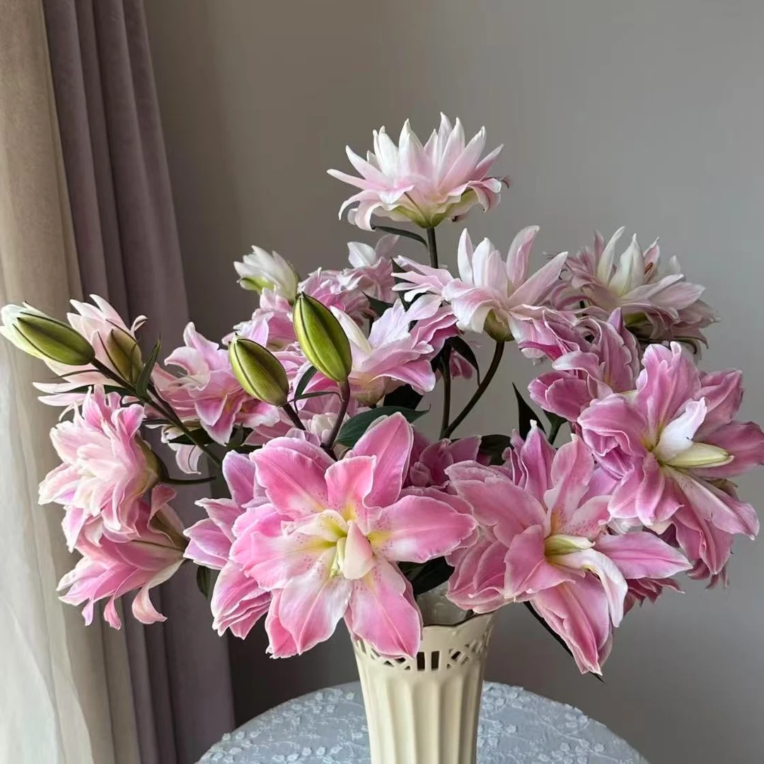 【植迷不误】莲花雅致重瓣百合 高端插花 云南鲜花 基地包邮直发