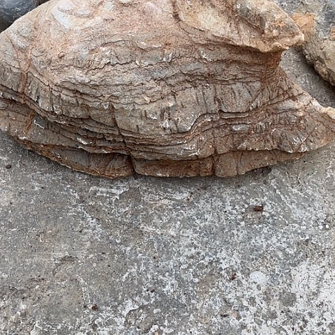 无花朵用****3家居装修案例