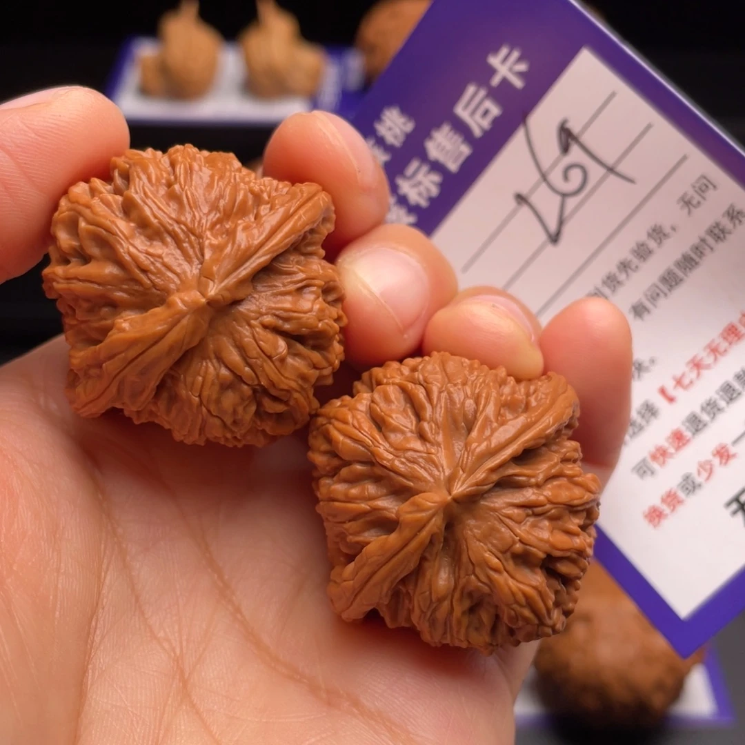 文玩核桃把件山地白狮子36.8尺