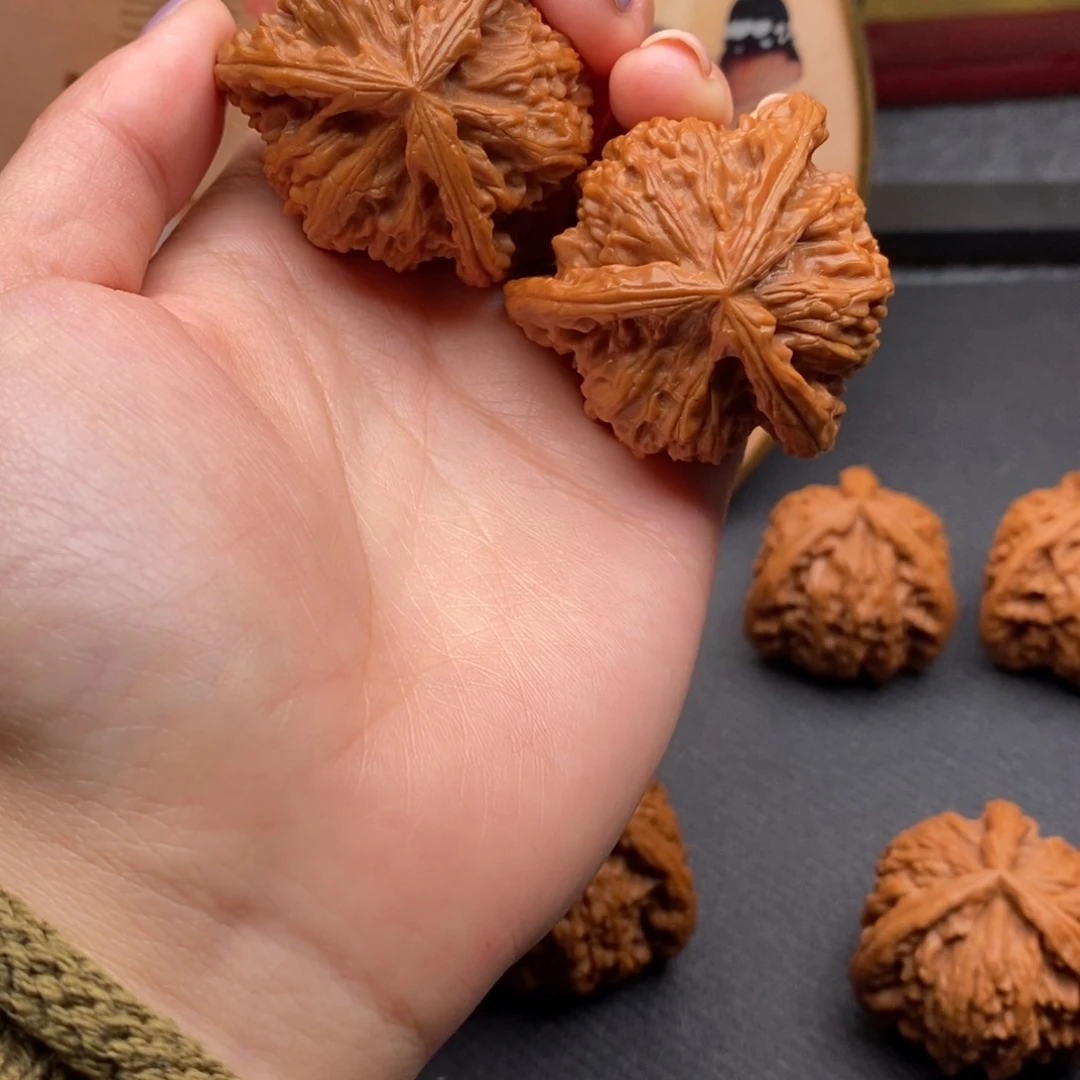 1***4白狮子1111111111