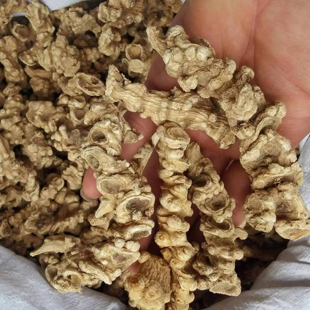 【阿毅山货】天王参