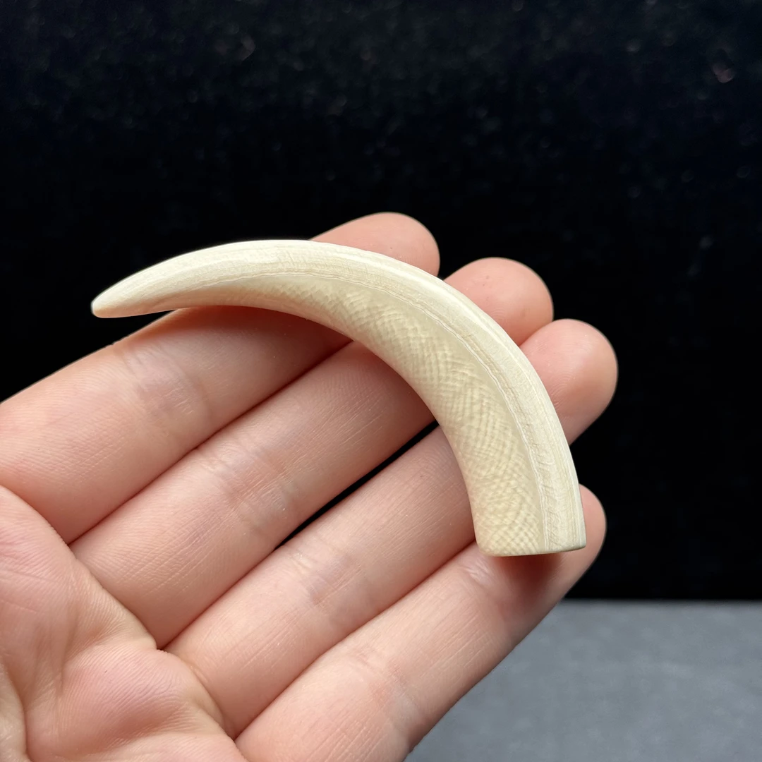 L2569天然猛犸牙 牙尖69mm 支持鉴定 假一罚四