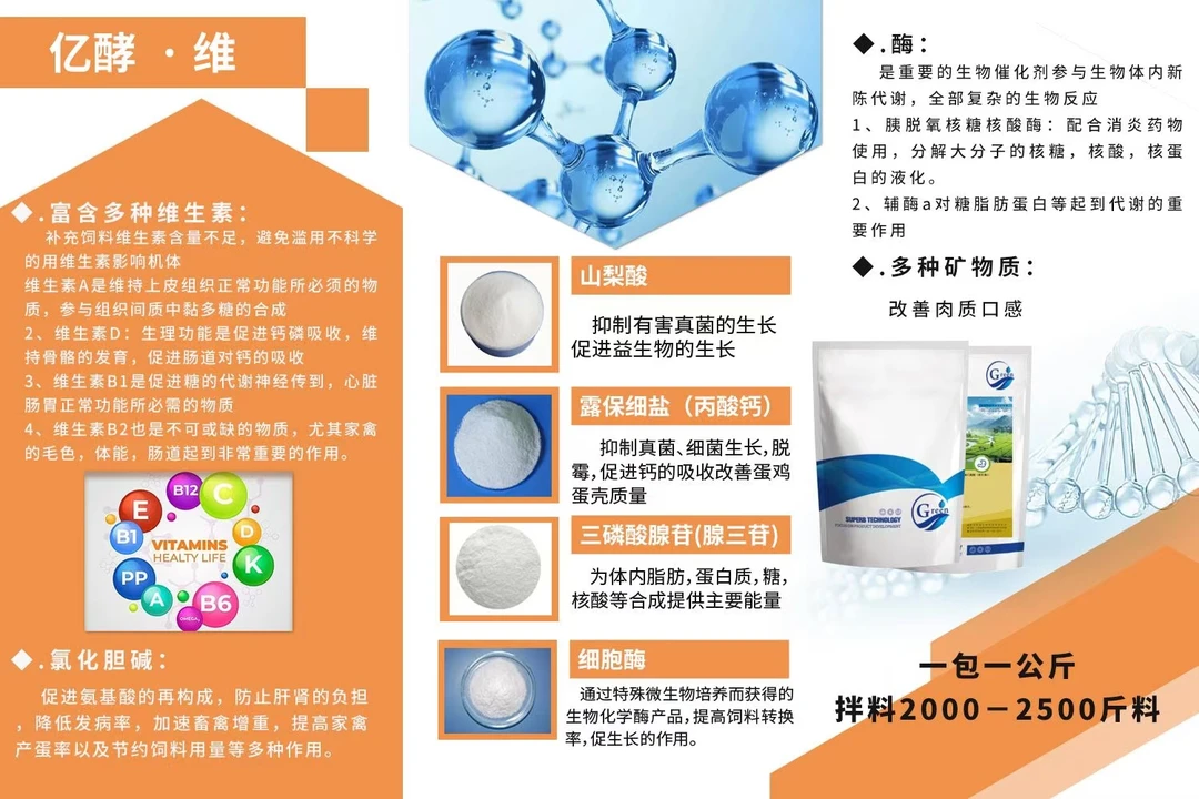 【亿酵维】六效合一，补充多维鱼肝油益生菌氨基酸微量元素，拉骨架