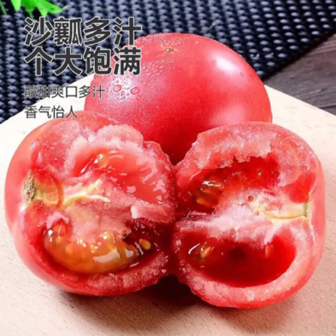 【小薇助农】自然成熟 老品种西红柿 现摘现发沙瓤多汁  发货8分熟