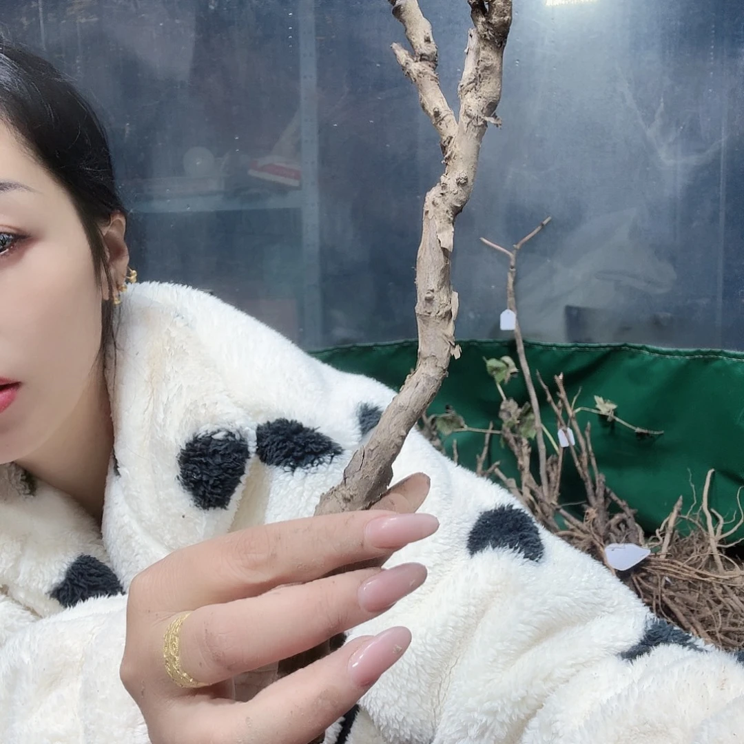 无花朵111111111111212222122