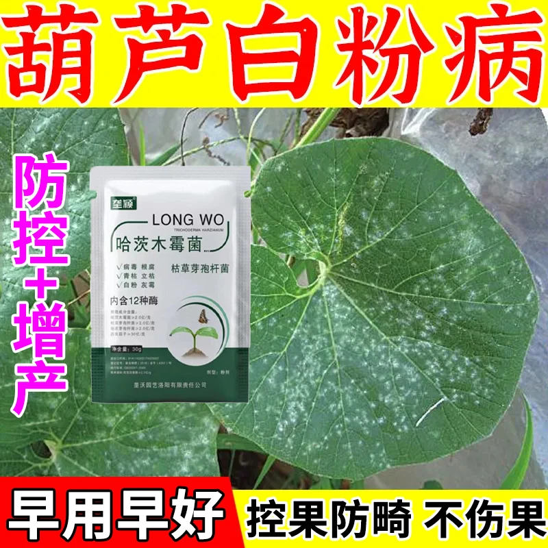 葫芦白粉病专用叶面肥瓜果类植物叶子白粉炭疽黄萎病葫芦专用肥料