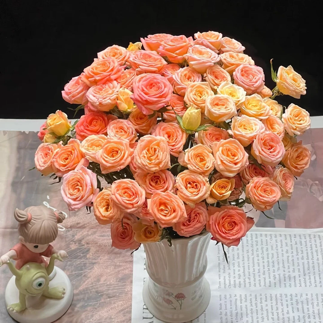 【簪花笑泡泡鲜花】新鲜采摘玫瑰花花束云南基地鲜花直发家用鲜花