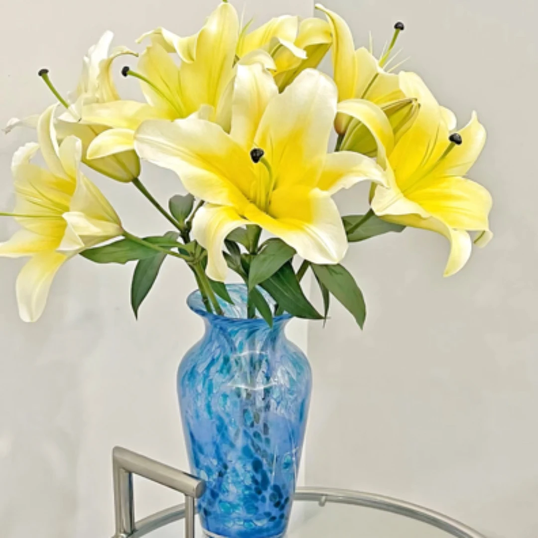 黄天霸 3支 九个花苞 任意两单京东包邮到家 今天拍明天到