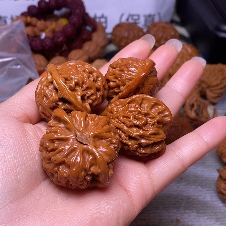 机***孩大叶紫檀（黑酸枝木类）