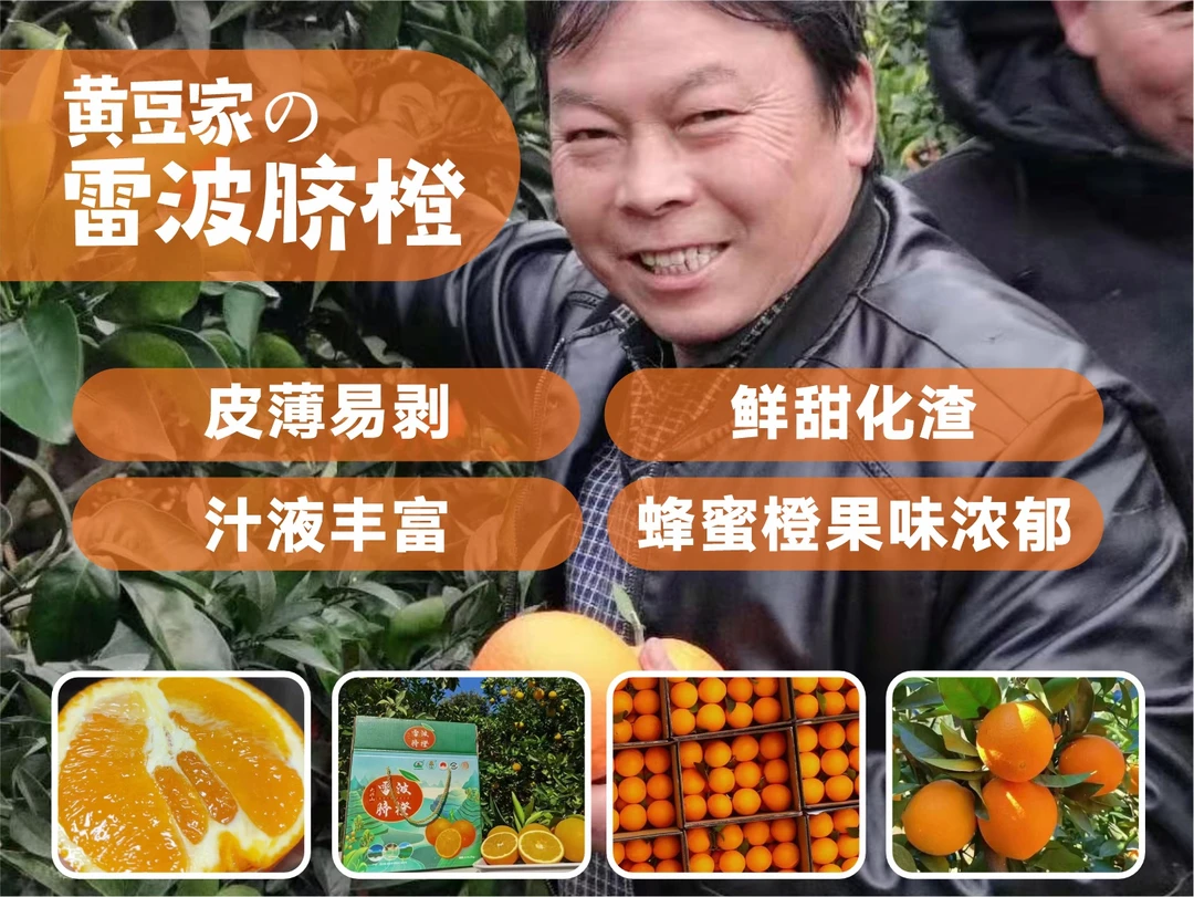 大凉山正宗雷波脐橙现摘礼盒装纯天然蜂蜜橙味爆汁化渣送礼佳品