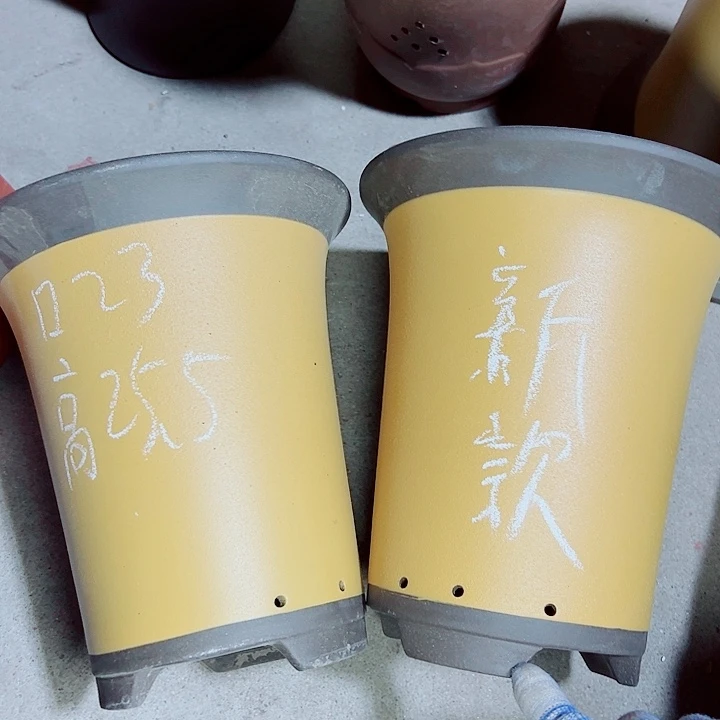 红陶紫砂紫砂紫砂