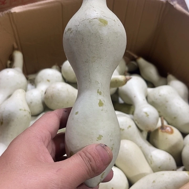 非洲紫檀（红花梨）哏**七