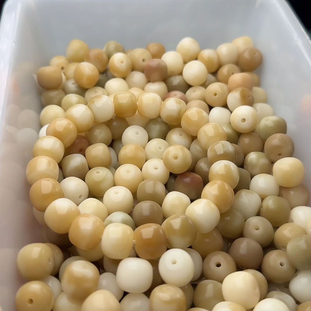 吊坠菩提根/象牙果50 颗烟灰花皮 12 桶