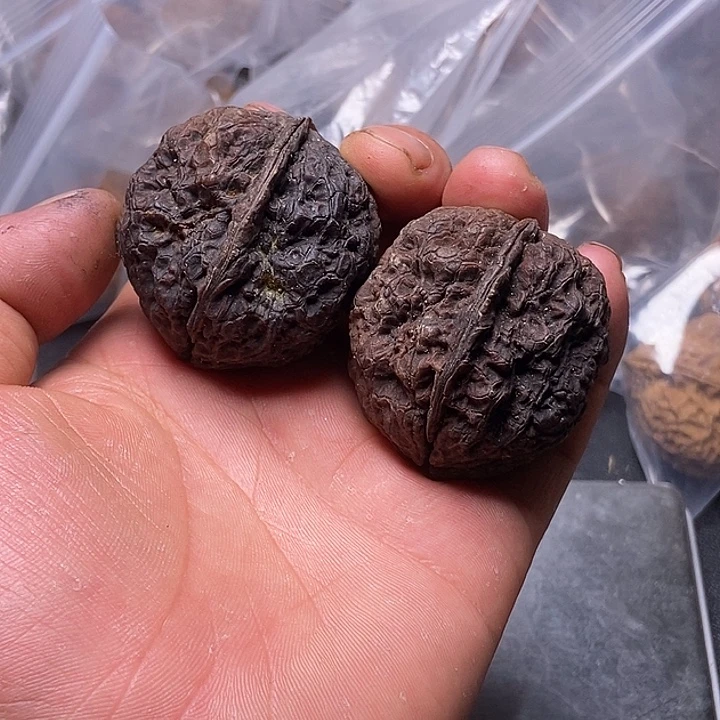 吊坠文玩核桃云南铁核桃炸福利直播间50号p