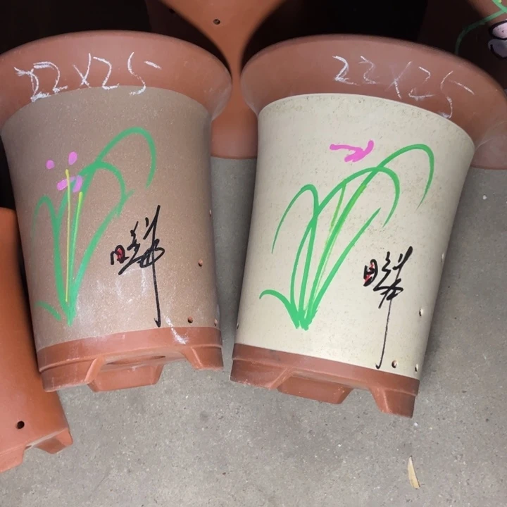 扎扎实实周三周四再说