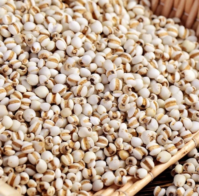 一哥山货—薏米农家自己种植