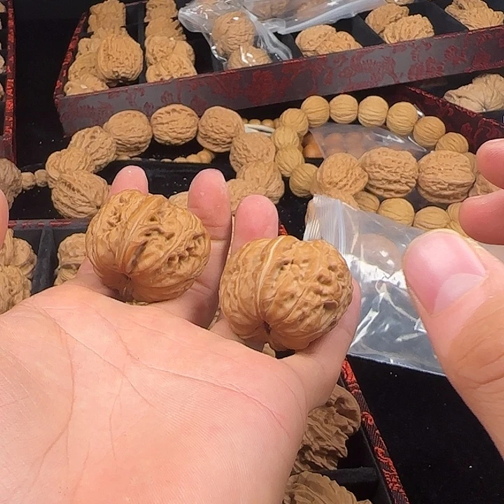 空***哉龙脊菩提吊坠啊啊啊啊啊啊啊啊元宝15