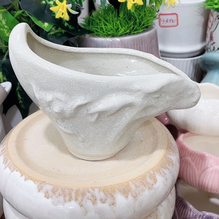 花盆花盆花盆花盆花盆花盆花盆