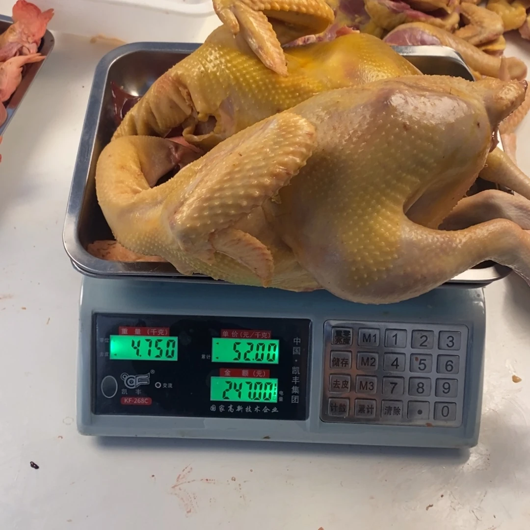 30天中国大陆包装整鸡