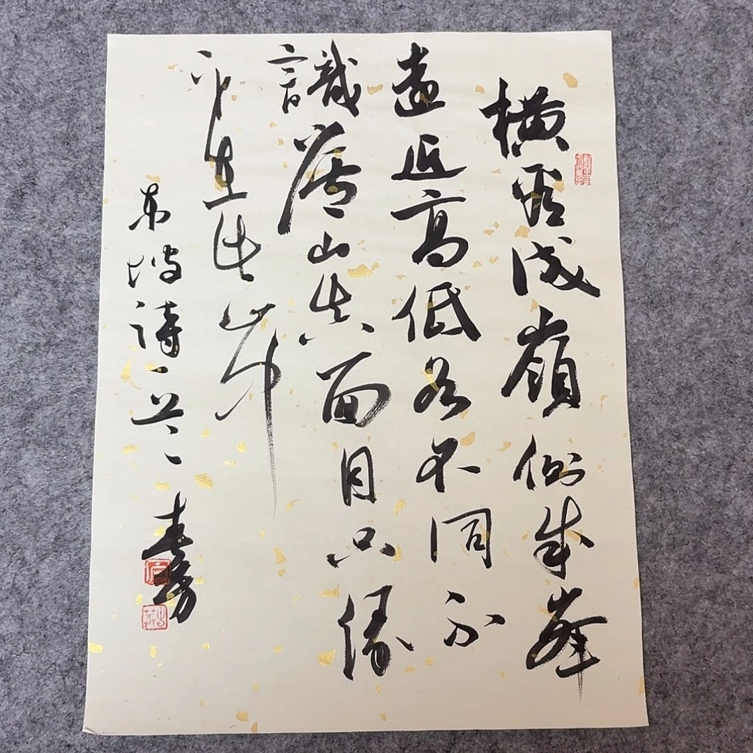 书法国展书家麻春芳45+34