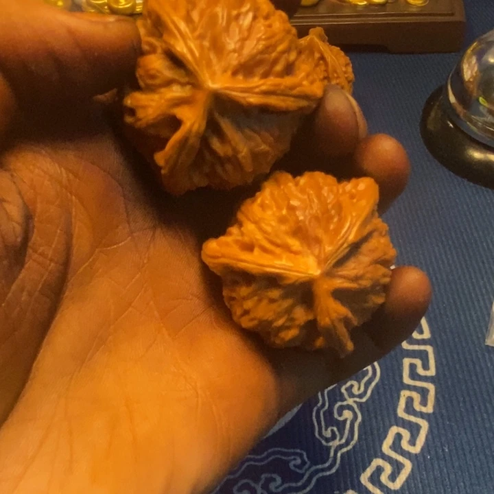 小***子文玩核桃把件白狮子三棱白奔福利