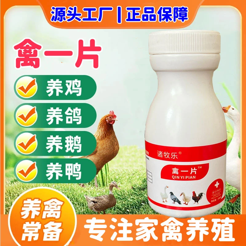 禽一片饲料添加剂养殖鸡鸭鹅鹌鹑鸽子通用家禽四季鸡鸭鹅通用药