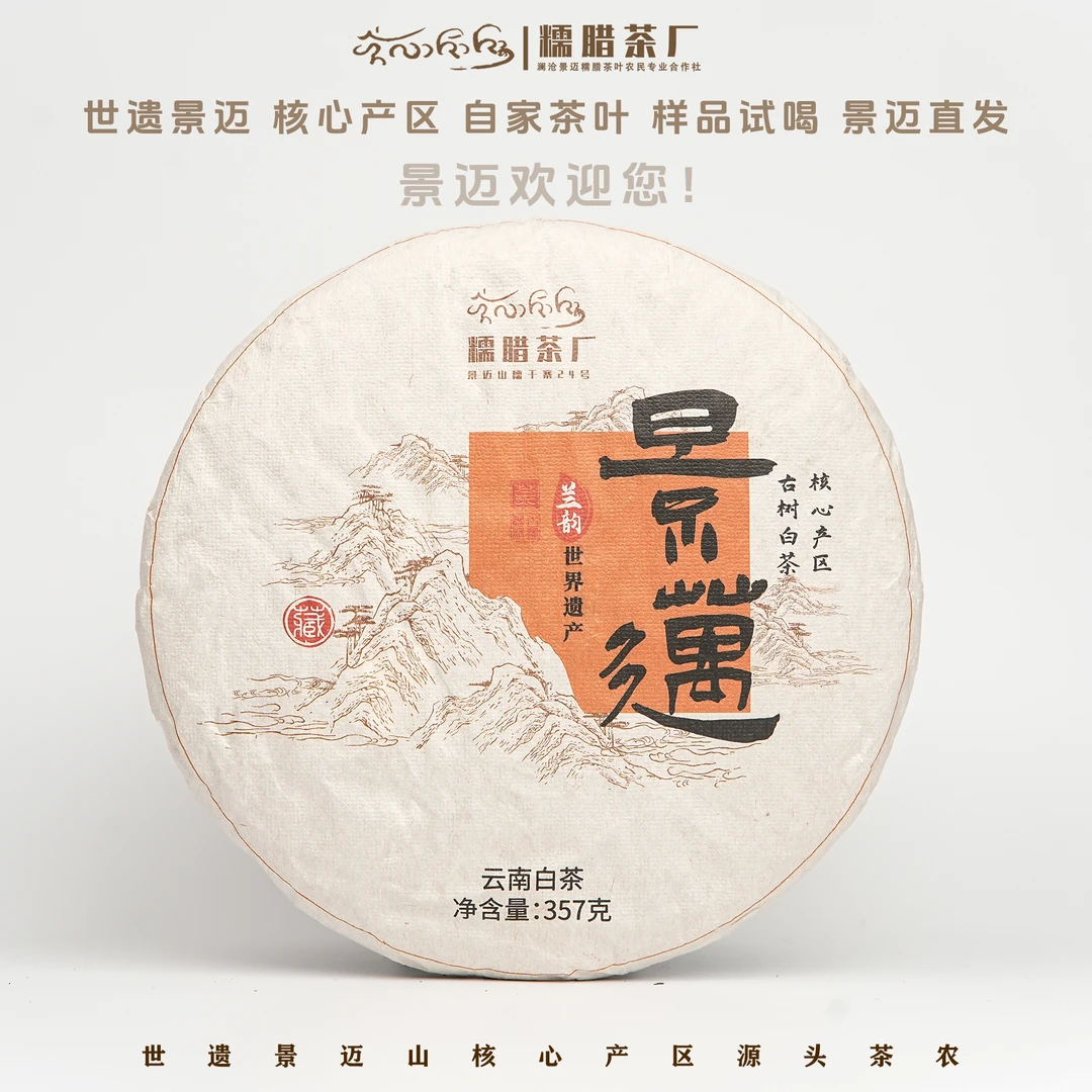 【景迈古树白茶】兰韵 2024年春糯干古寨古树晒白357克饼古树白茶