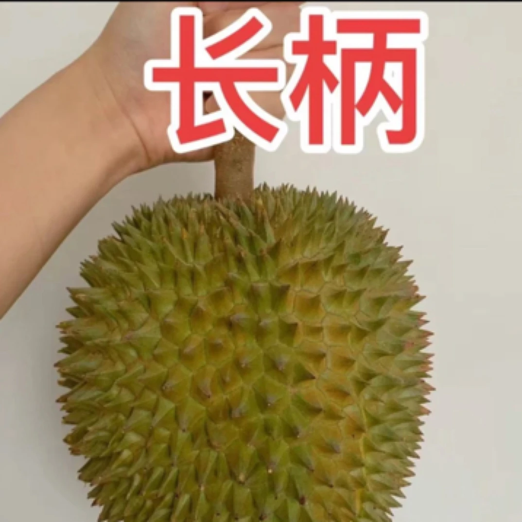 4号链接【大朗同城即拍即送】泰国鲜榴莲树熟长柄A级榴莲KG一物一拍】大核小核随机长柄榴莲长柄泰国长柄泰国