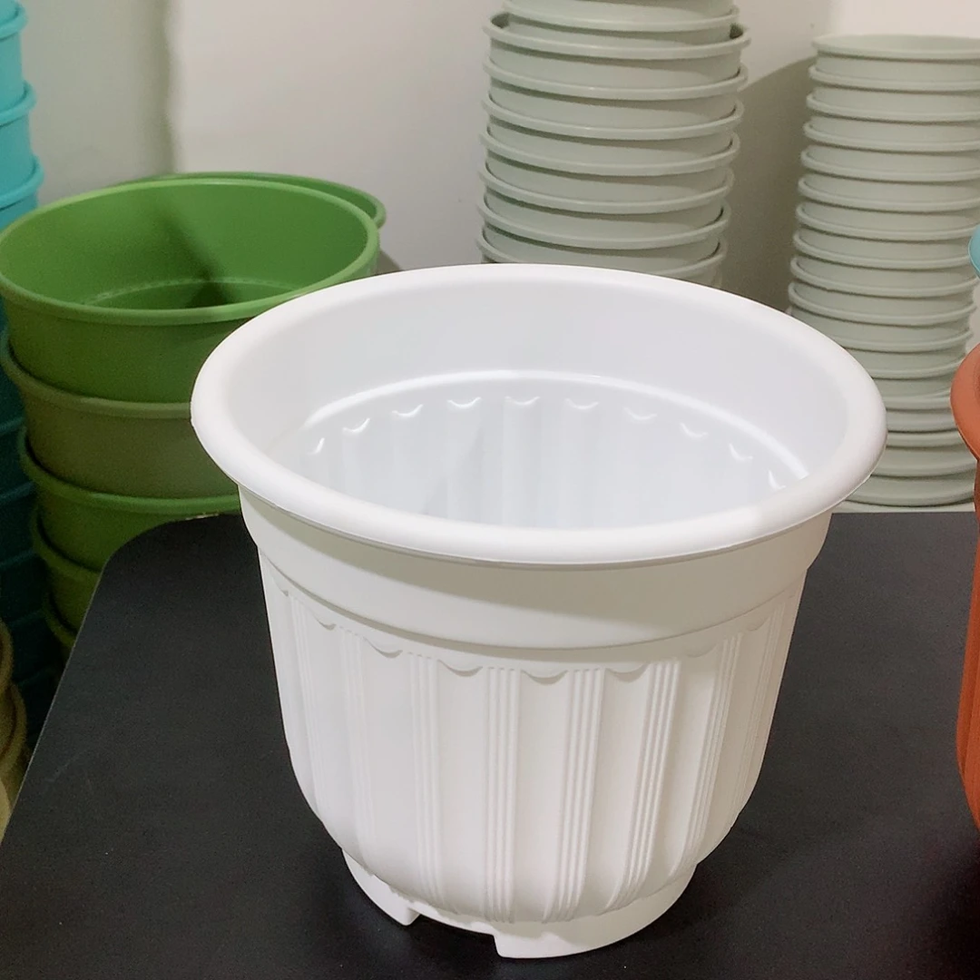 树脂罗马口21白5个无托