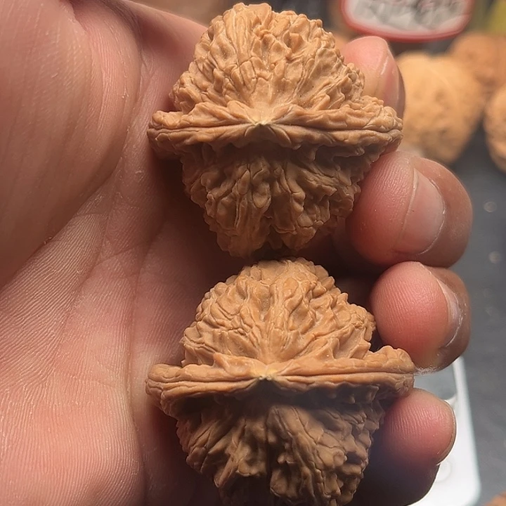 把件文玩核桃白狮子42