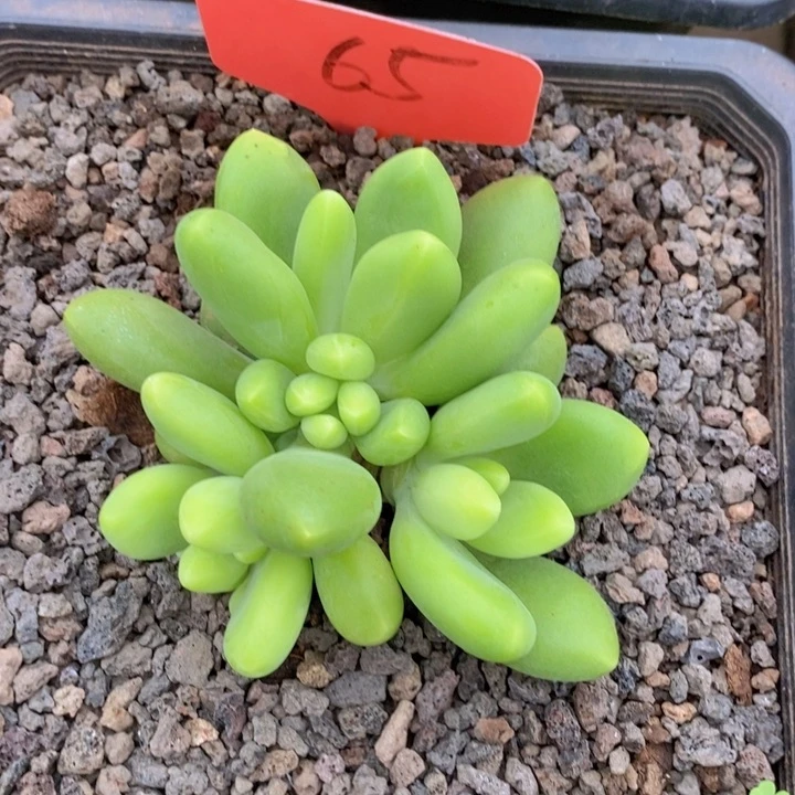 你说是谁就让我们