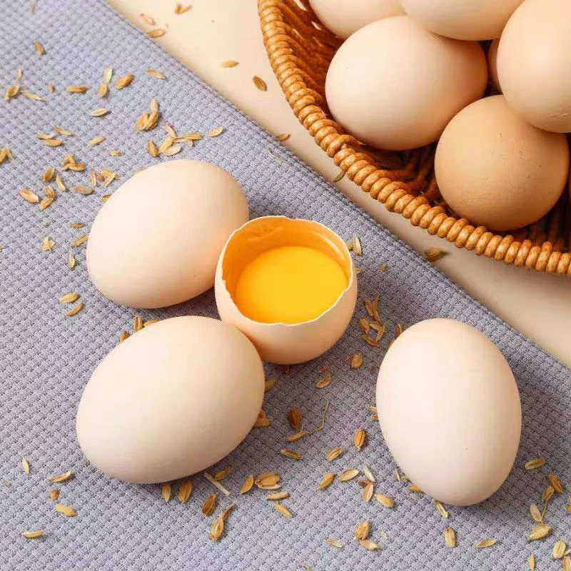泰山土鸡蛋农家散养谷物蛋新鲜柴鸡蛋孕妇月子笨鸡蛋K