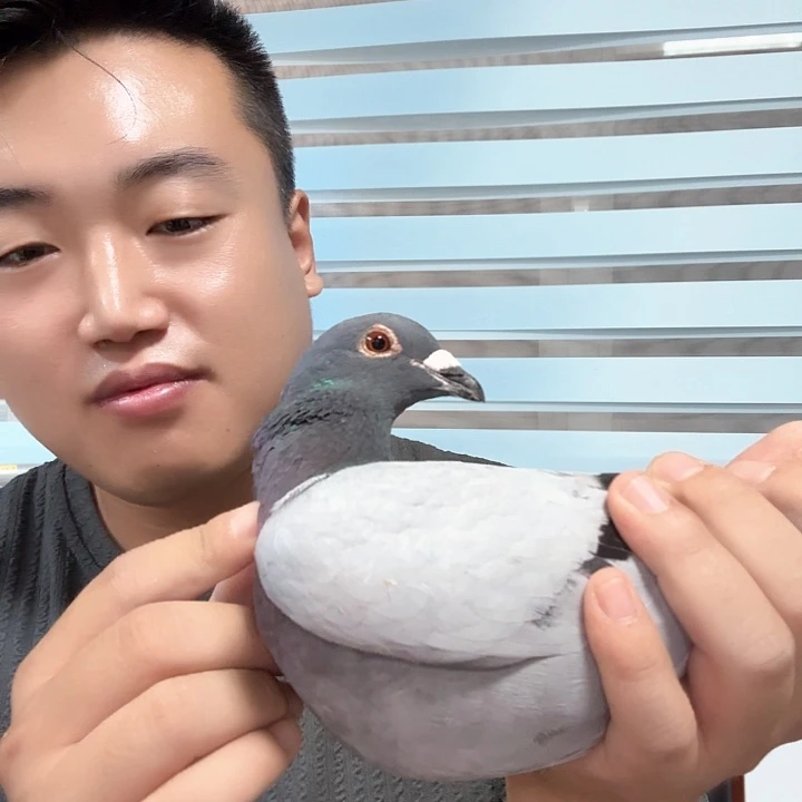 阿*明天早上去医院