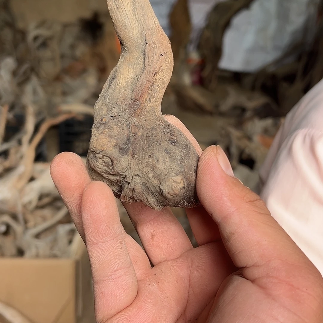 平***哥柏木（崖柏）文玩根雕