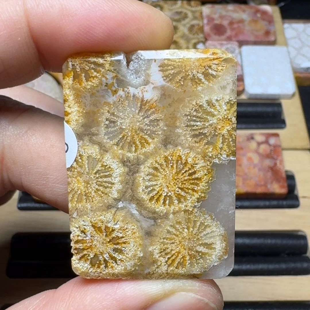 硅化玉纯天然色有机玉石未镶嵌