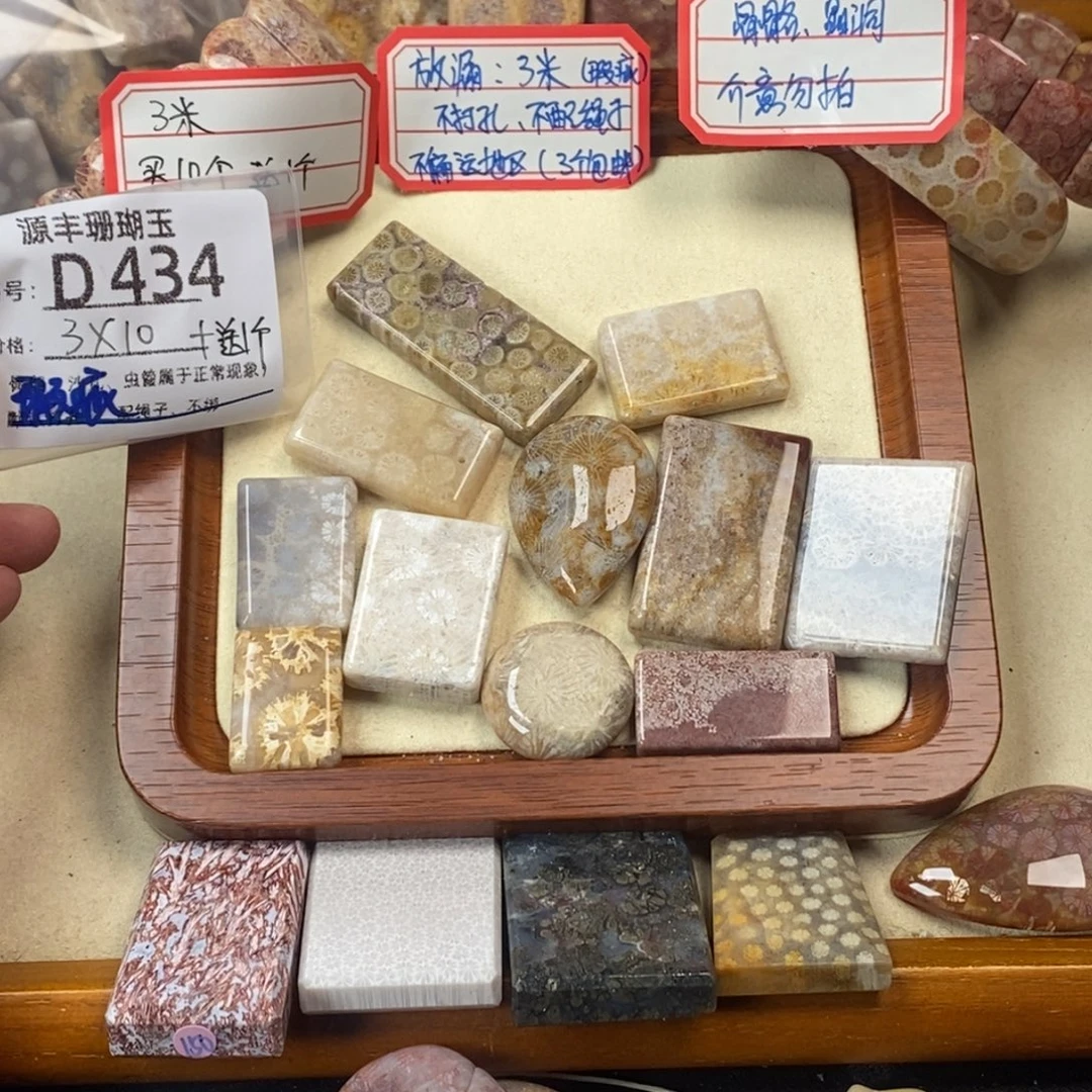 澍***木硅化玉未镶嵌颈饰