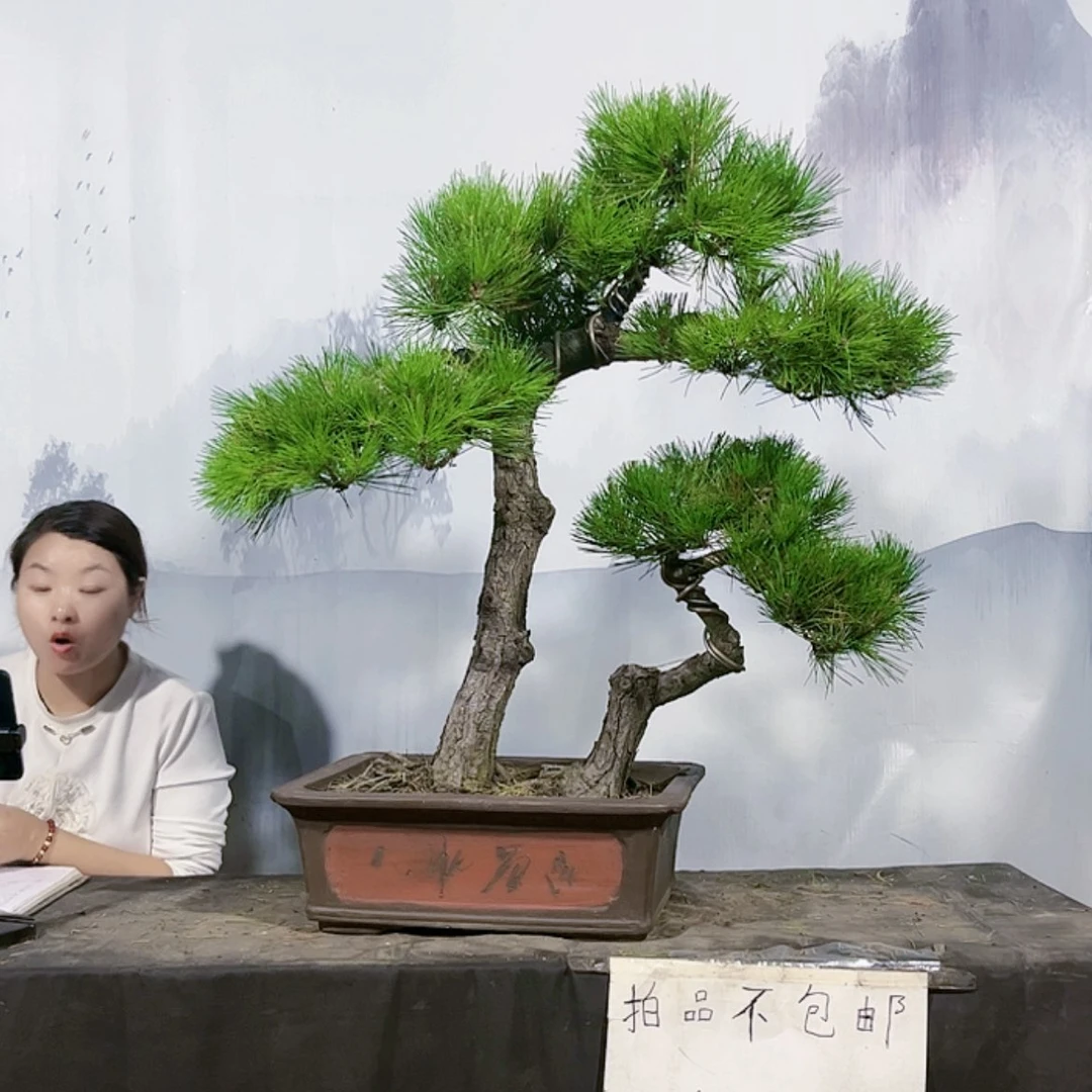 【闪购商品】无花朵包邮