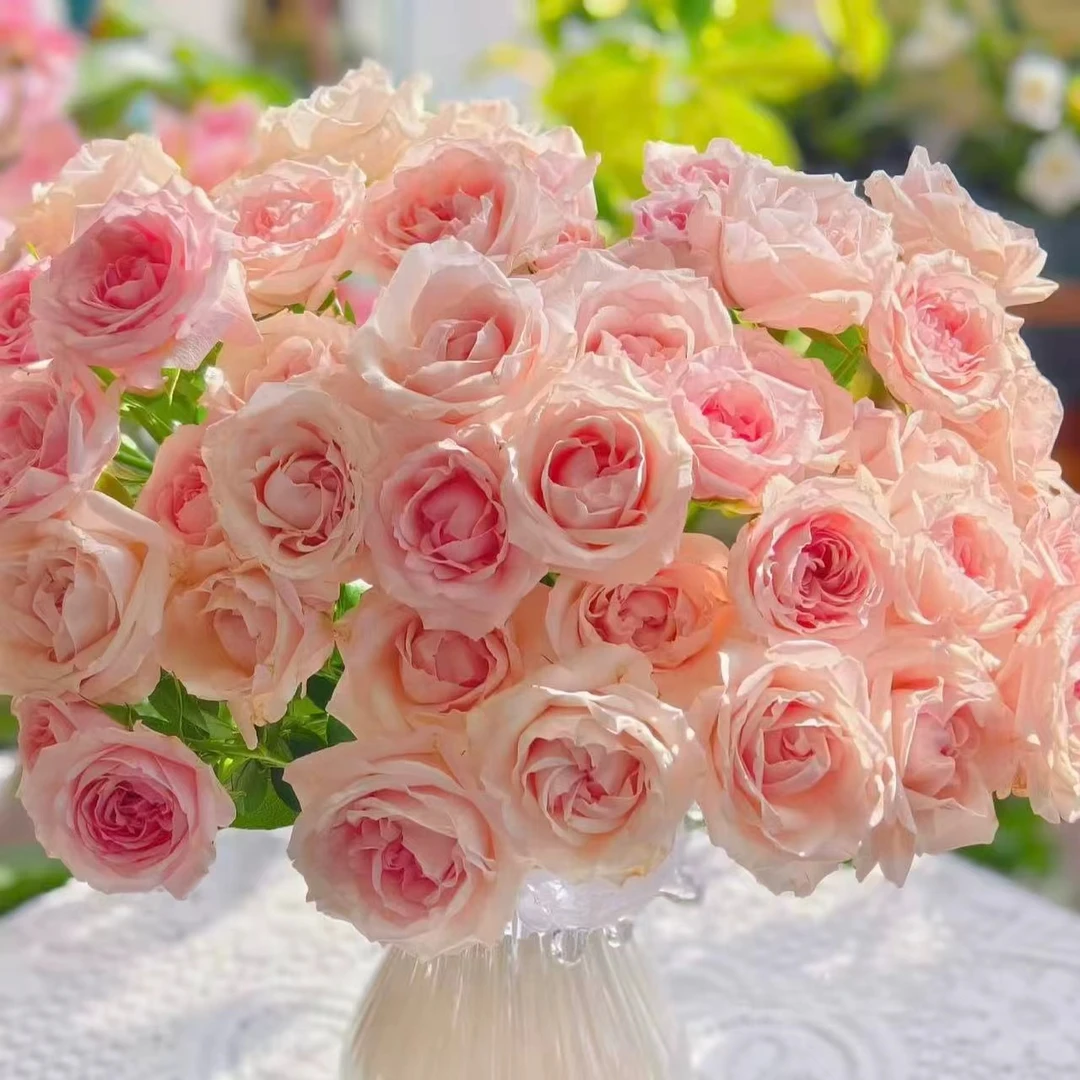 【花之物语】蜜桃千层多头玫瑰 包邮