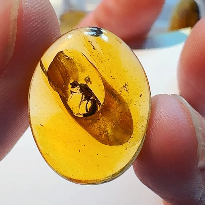 未镶嵌琥珀裸石天然缅甸琥珀吊坠