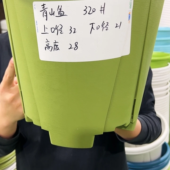 正品青山口32高28果绿无托5个