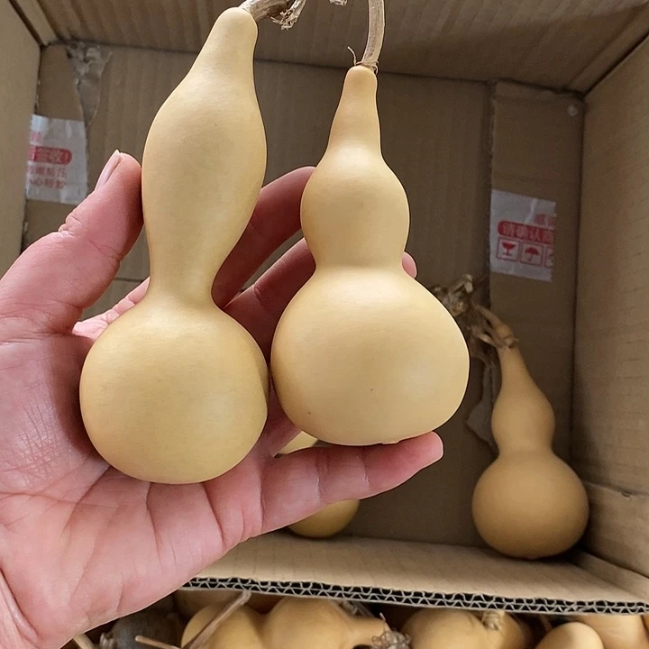 葫芦的颜色很好看