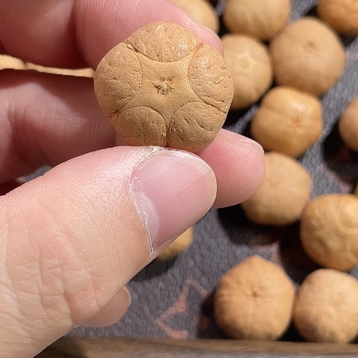 S***e凤眼菩提吊坠尼泊尔小凤眼