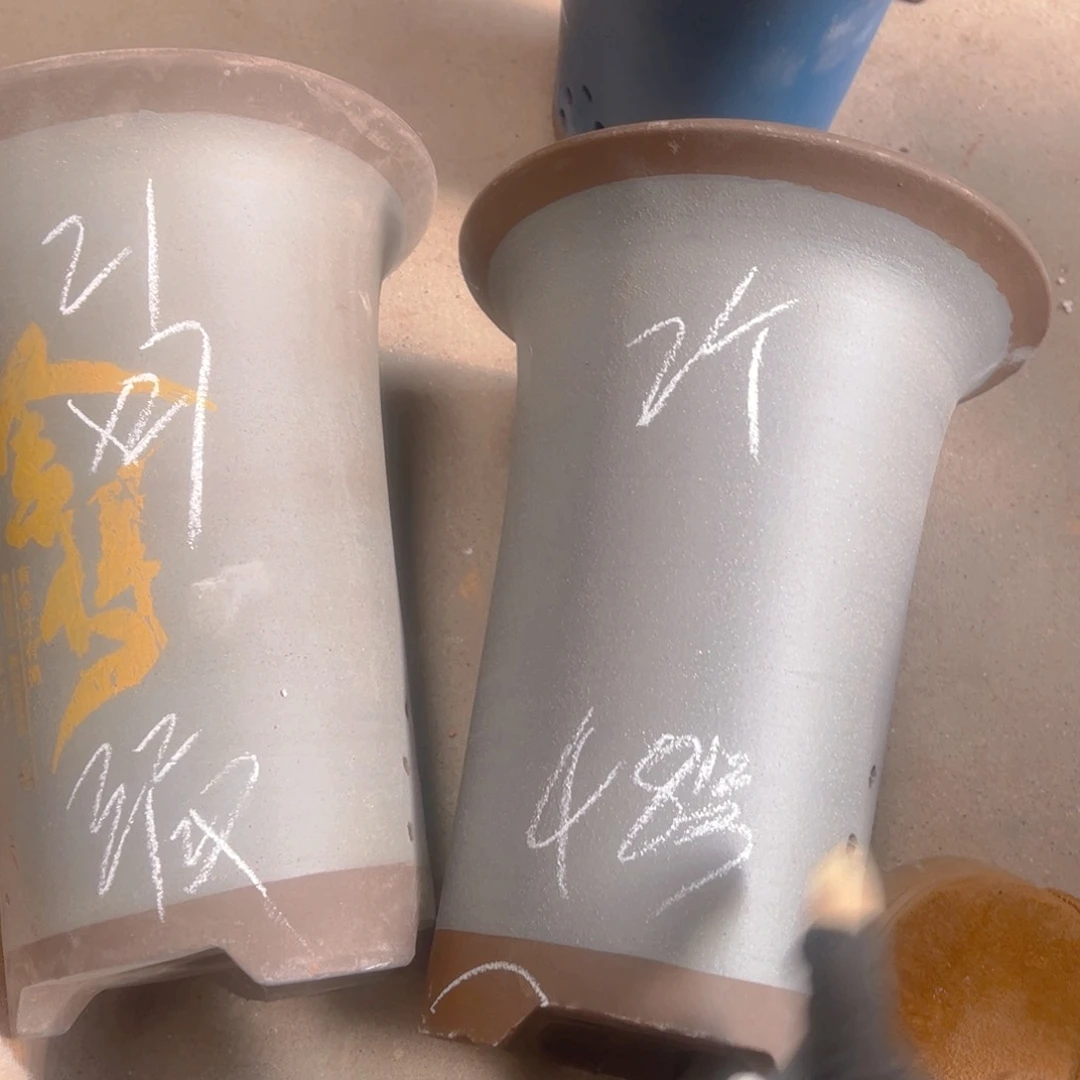 紫砂48………………………………